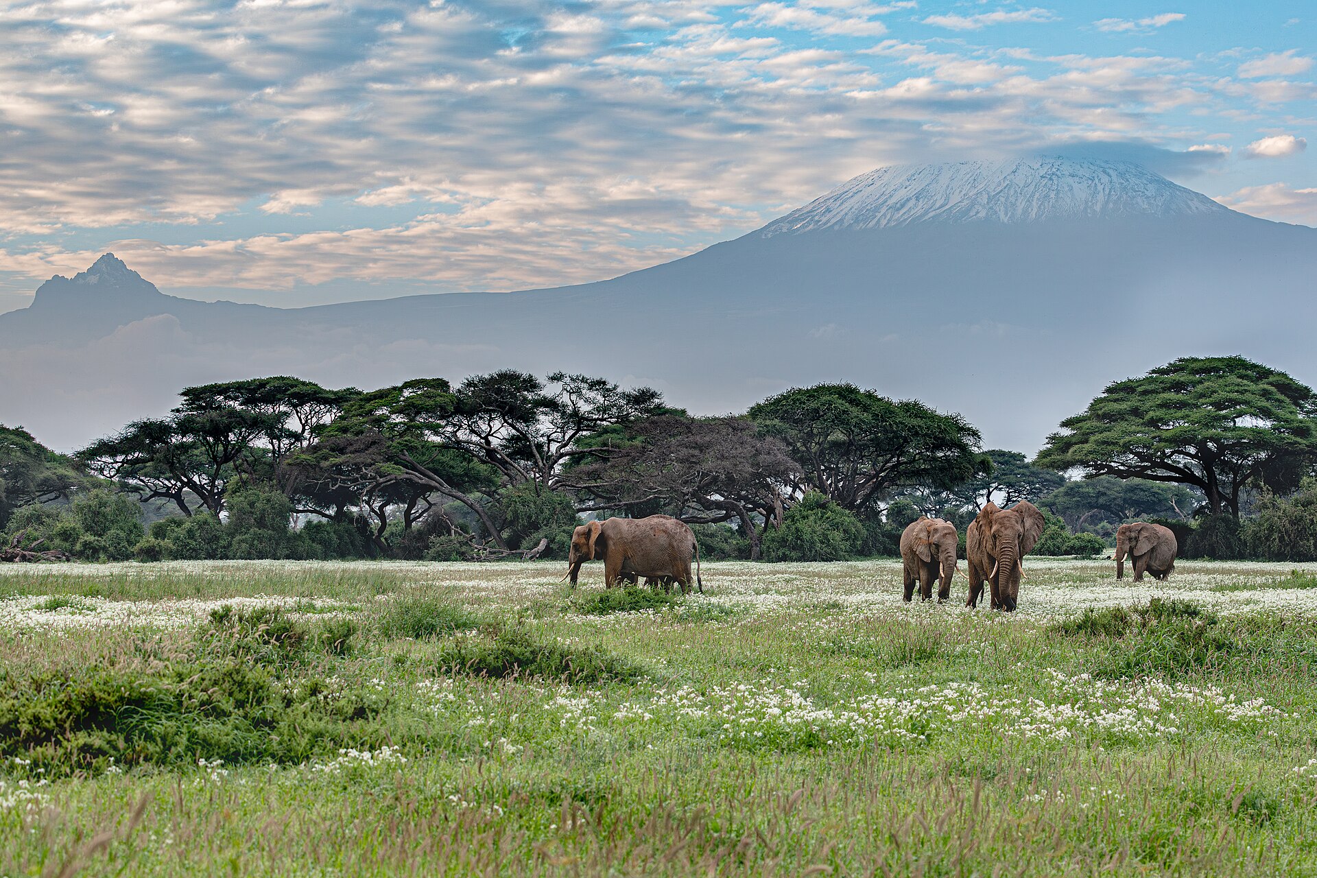 Safari en famille : à quel âge partir et quelle destination choisir ?