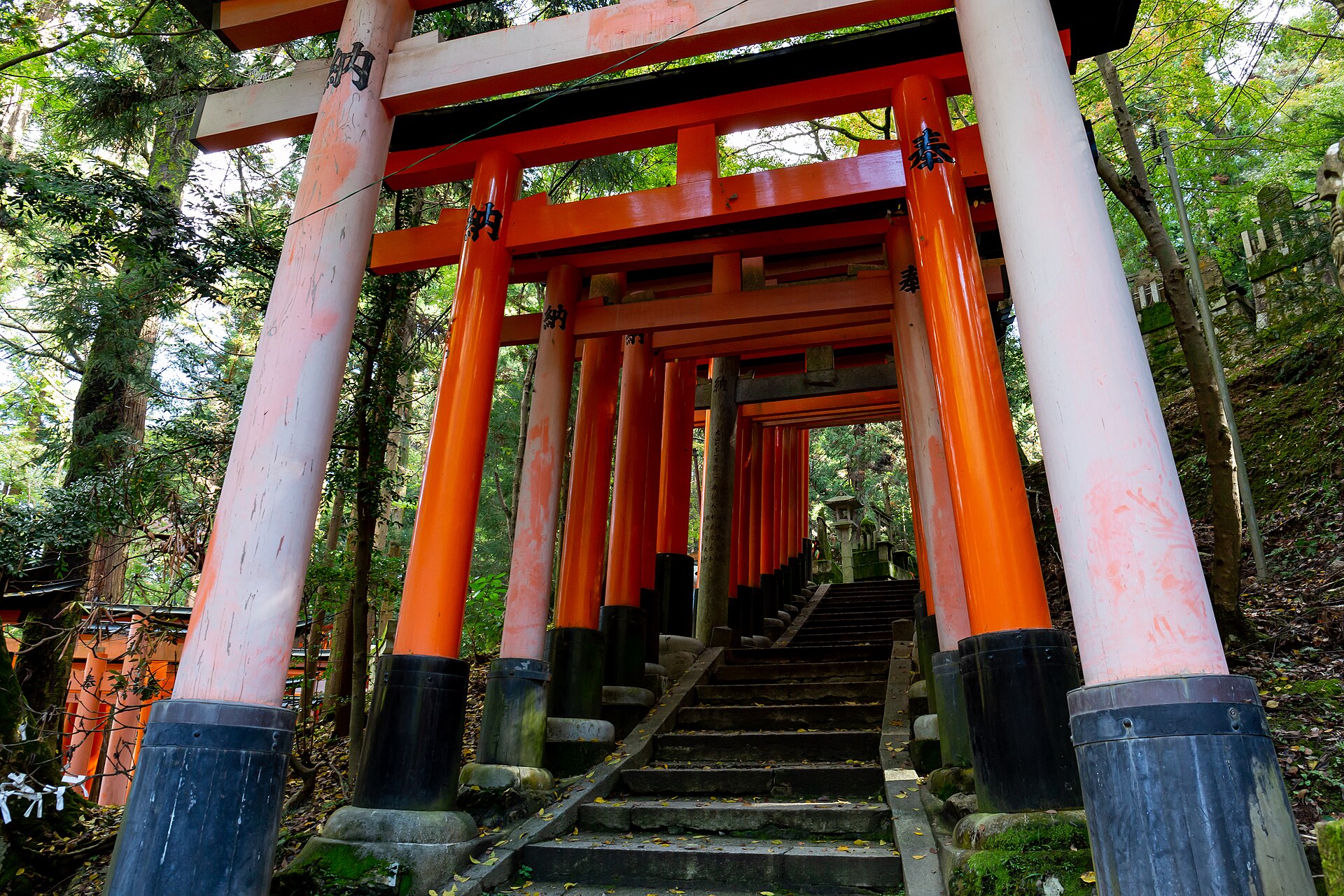 Tunnel de torii orange et escalier en pierre sur le sentier du sanctuaire Fushimi Inari-taisha, Kyoto.