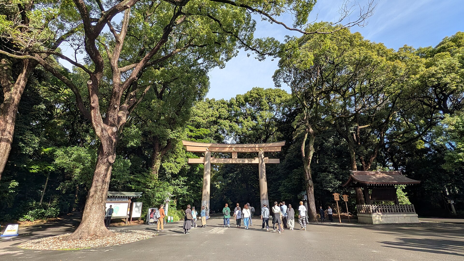 Grand torii en bois à l'entrée du sanctuaire Meiji Jingu, entouré d'une forêt en plein Tokyo.