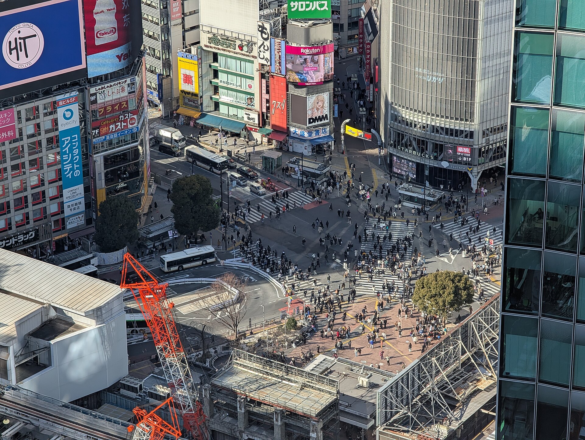 Tokyo en famille : le guide pratique