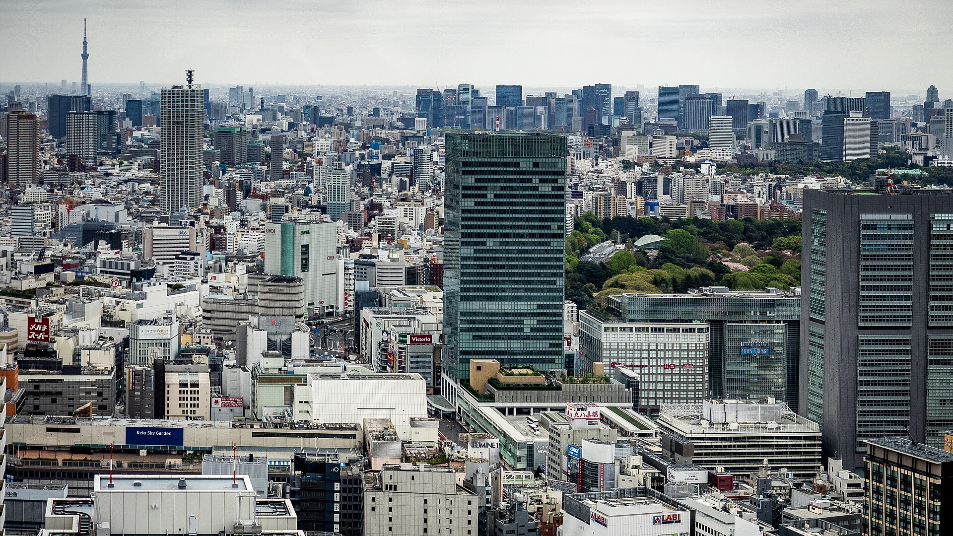 Vue sur les gratte-ciel du quartier de Shinjuku à Tokyo, avec le parc de Shinjuku Gyoen en arrière-plan.
