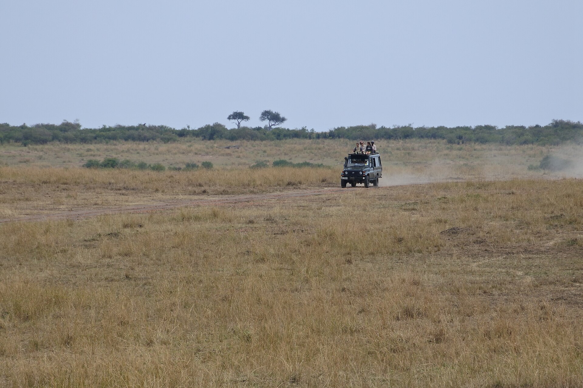 Véhicule 4x4 de safari roulant sur une piste en terre dans la savane, avec des passagers debout par le toit ouvrant